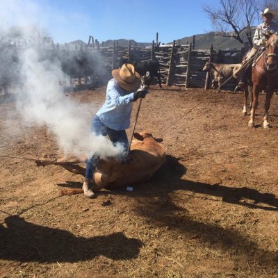shine_juarez's tweet photo. #NuevaFotoDePerfil https://t.co/AeC7cllqBq