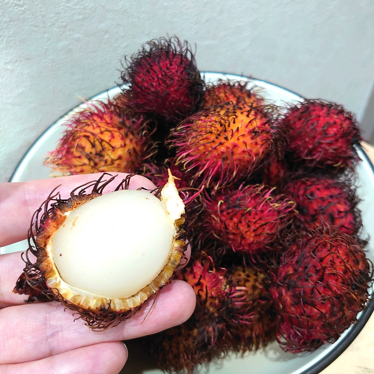 Uzivatel 岩間和彦 Na Twitteru 始めて食べるもじゃもじゃフルーツの ランブータン 皮をむくと白い果肉があらわれます 見た目によらず上品な甘味で 味の濃いライチって感じかな これ おいしいなー Uzivatel 岩間和彦 Na Twitteru 始めて食べるもじゃもじゃフルーツの ランブータン 皮をむくと白い果肉があらわれます 見た目によらず上品な甘味で 味の濃いライチって感じかな これ おいしいなー