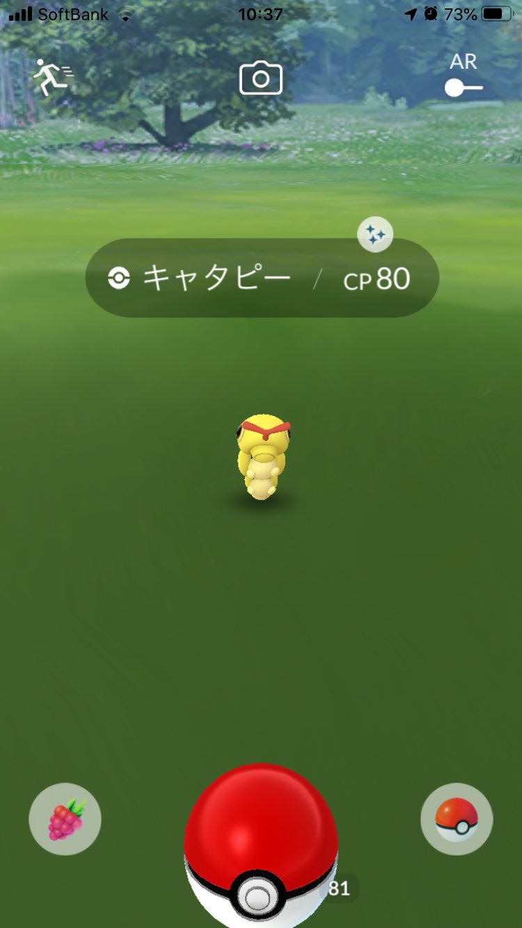 تويتر Oz على تويتر キャタピー色違いget ポケモンgo 色違い キャタピー T Co Z933ijfhrq