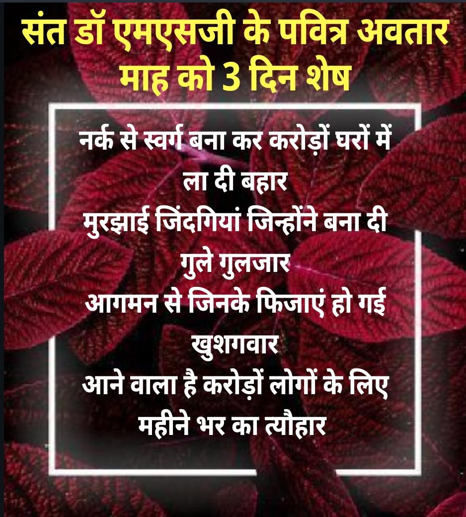SumanInsa13's tweet photo. #3DaysToBirthMonthOfMSG
@Gurmeetramrahim
@derasachasauda
#3dayleft
#Advancehappybirthdaypitaji
Extremely excited for this https://t.co/BBMIlpfsqd