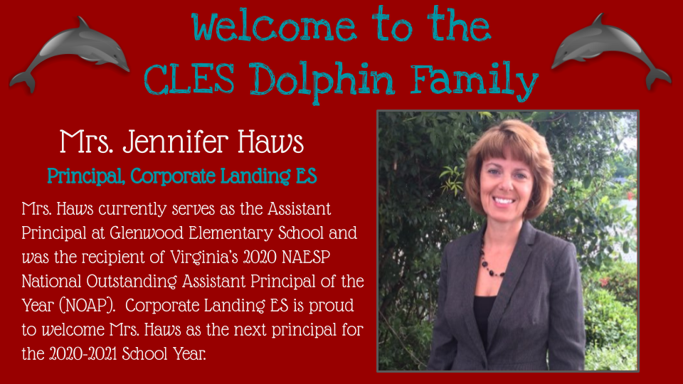 CLESDolphins tweet media