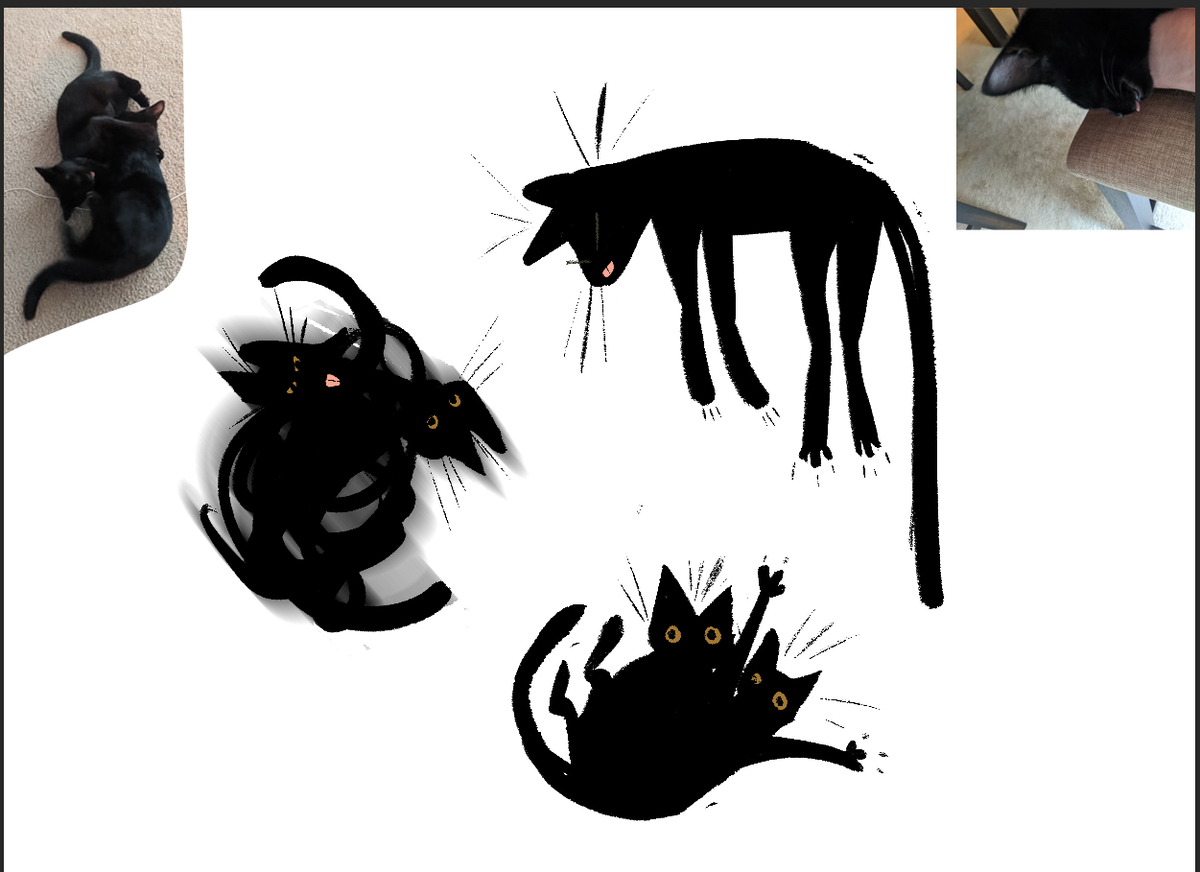 A different friend just had her brother adopt THREE SEPARATE BLACK CATS this month.