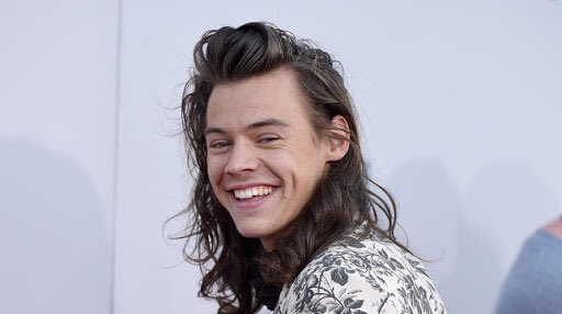 harry styles dimples. a very much needed thread ☺︎︎