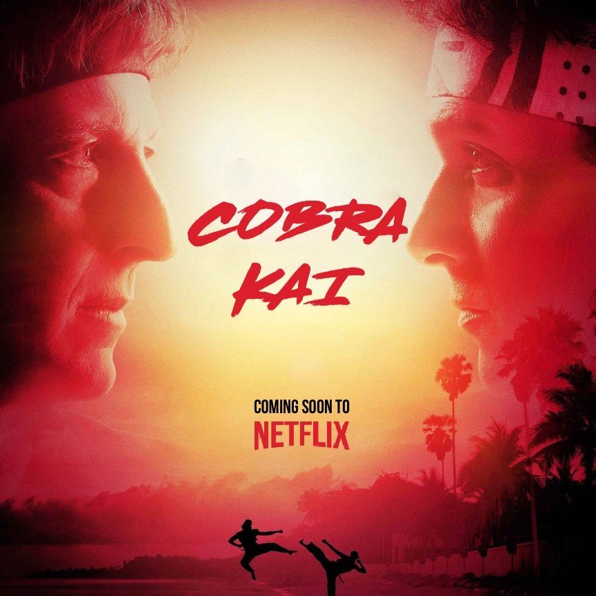 jonhurwitz's tweet photo. One month away. #CobraKaiOnNetflix #Seasons1and2 #CobraKai #Netflix https://t.co/Ux5aafxKTY