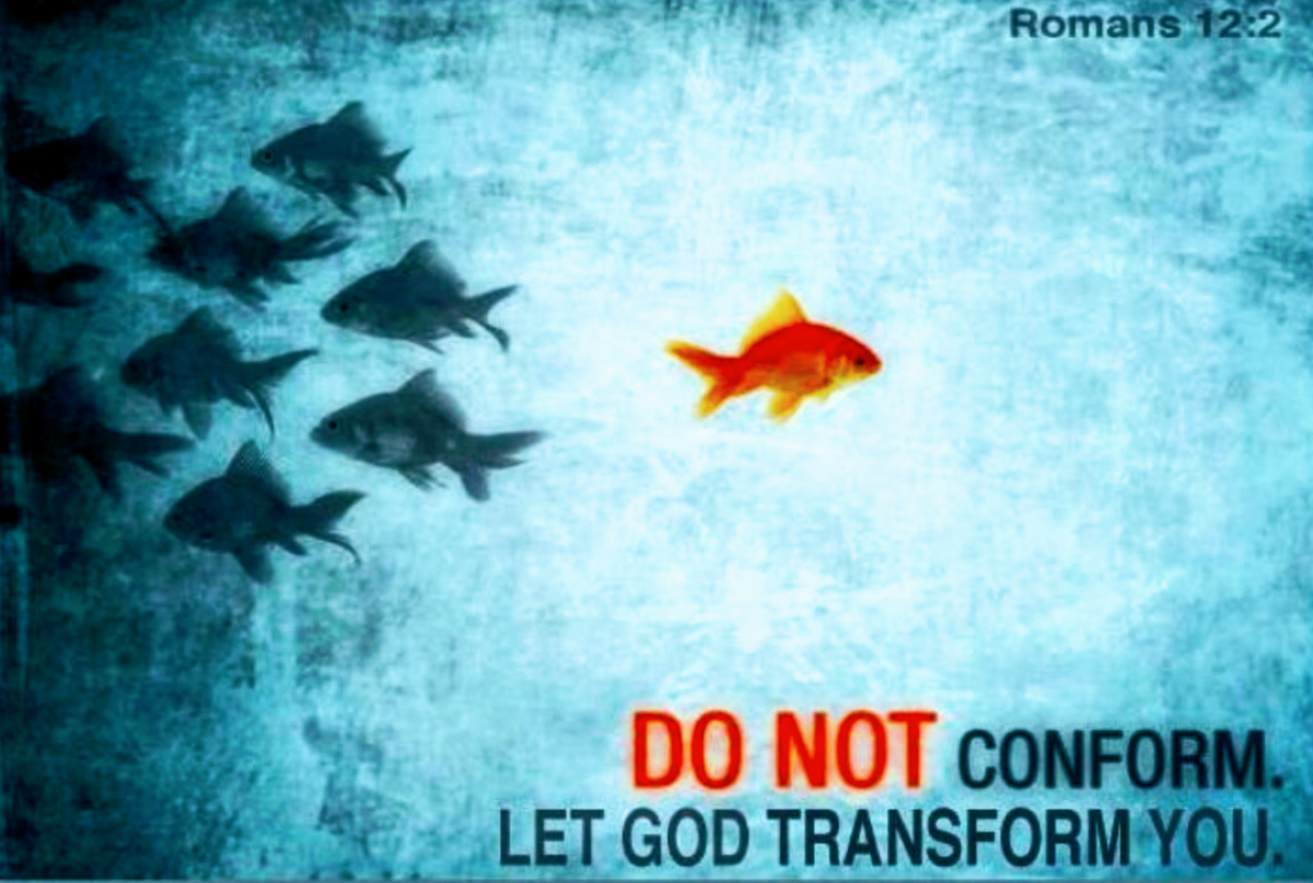 dailybread111's tweet photo. Do not be conformed to this world, but be transformed by the renewal of your mind, that by testing you may discern what is the will of God, what is good and acceptable and perfect.
Romans 12:2 
Praise the LORD #Jesus Christ always https://t.co/RV4nR8ljou