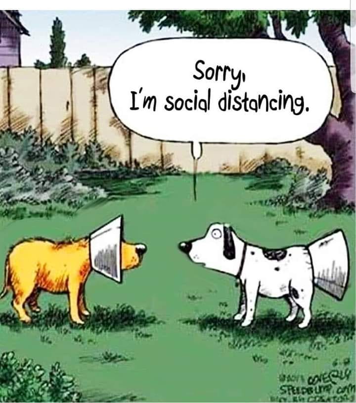 ghdogblogger's tweet photo. πππ
-
Follow @ghdogblogger for more dog content.
-
#dogmemes #Goldenretriever # #dogquotes #germanshepherd #shepherddogs #GSD #germanshepherddog
#belgianmalinoispuppy
#ghdogblogger #dogblogger #dogblog #dogghana #ghdogs #dogsgh #ghanadog #ghana #africadog #dogafrica https://t.co/PdcKyQhlhV
