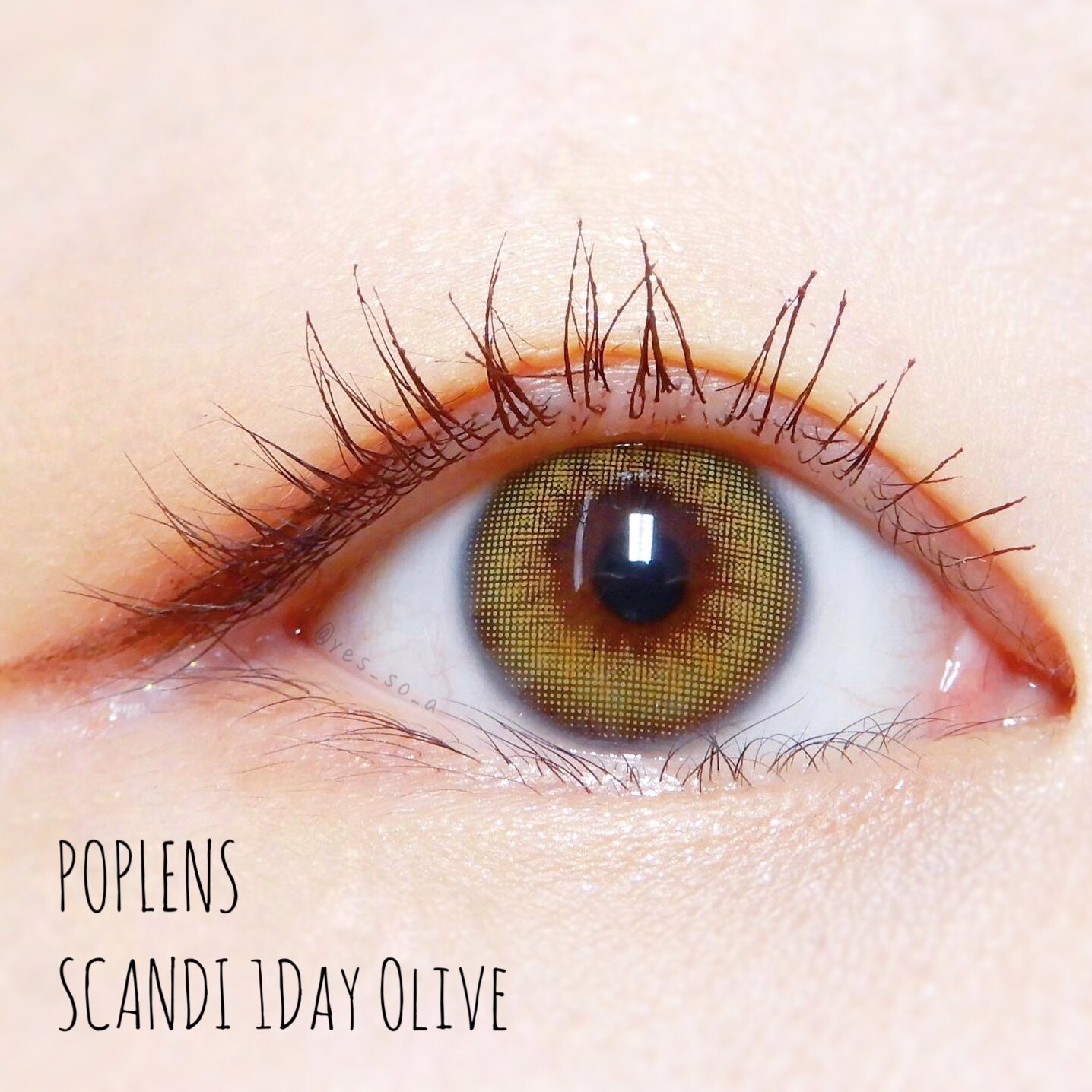 一重 奥二重のぷるむ カラコンレポ Poplens Pop Lens Scandi 1day Olive 自分の瞳の色を変えてくれる 異国感漂うカラコンです オリーブカラコンってちょっと難しかったりするけど 自分の黒目よりサイズが小さいので負担感なし 色味も瞳の色に馴染ん