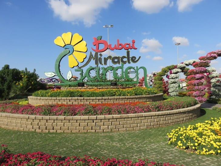 Dont miss some of the major attractions of Dubai on your family holiday. Visit us zcu.io/AuOR 
#dubaitourpackages #placestovisitindubai #burjkhalifa #miraclegarden #IMGworlddubai #dubaidesertsafari #dubaitravel