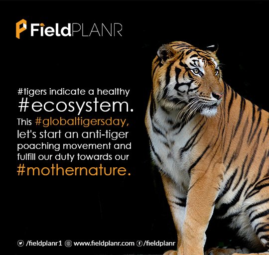 fieldplanr1's tweet photo. This #WorldTigerDay, let us stand against #TigerPoaching and #SaveTigers, 'cause they are not just magnificent creatures, but also the protectors of our habitat, a balancing scale indicator of a healthy ecosystem. 
#InternationalTigerDay #GlobalTigerDay #IndiasTigerSuccess https://t.co/FavYtf6khZ
