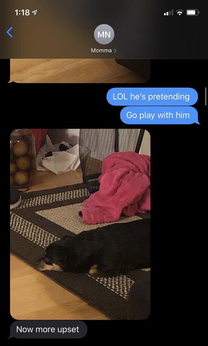 ShirleyNham's tweet photo. My mom leveled up with her guilt tripping and it WORKS 😭 https://t.co/1AeolJQ64w