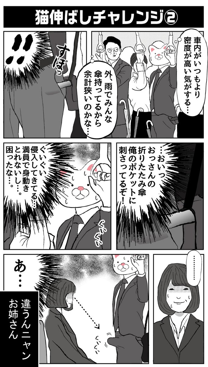 参戦します 
#猫伸ばしチャレンジ 