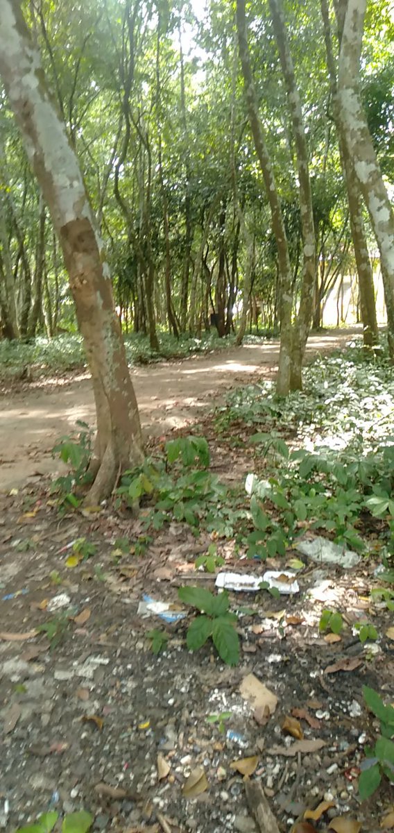 ស្ងាត់ម្លេះទេ