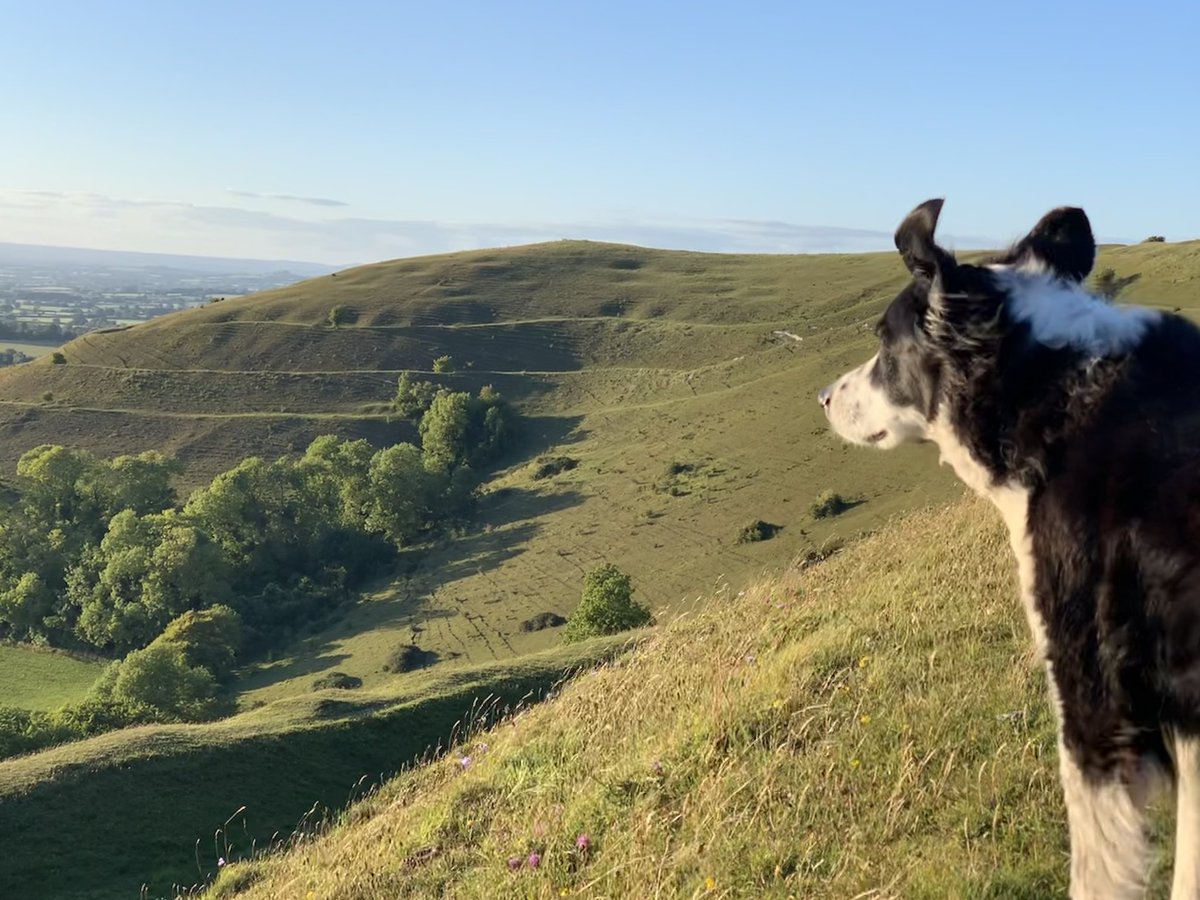 Great picnic supper on Hambledon Hill last night #Hillfortwednesday