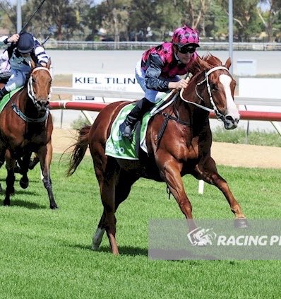 TRBHorseRacing tweet picture