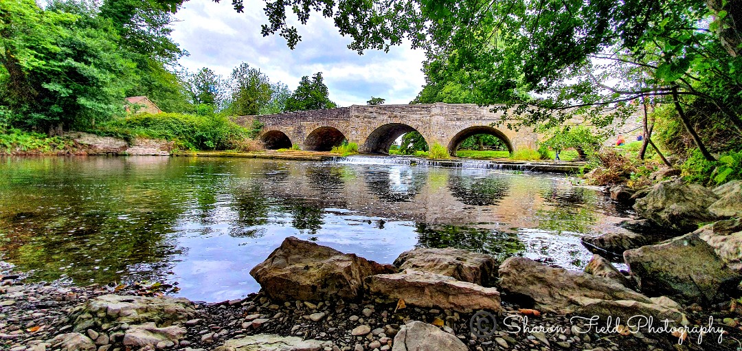 Leintwardine, Herefordshire. Another beautiful spot in a stunning county.
#Leintwardine
#Hereforshire
#rivers
#bridges
#outdoortherapy
#reflections
#SharonFieldPhotography
<a href="/VisitHfdsBiz/">VisitHfdsBusiness</a> 
<a href="/visitshrop/">Visit Shropshire</a> 
@Discover_Shrops 
<a href="/VisitEngland/">VisitEngland</a>