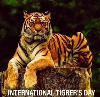 ForestandEnvir1's tweet photo. Protection of this majestic creature is not only protecting tigers its about protecting whole ecology it's depending on... #InternationalTigerDay #savetigers https://t.co/sgn8tKwE5M