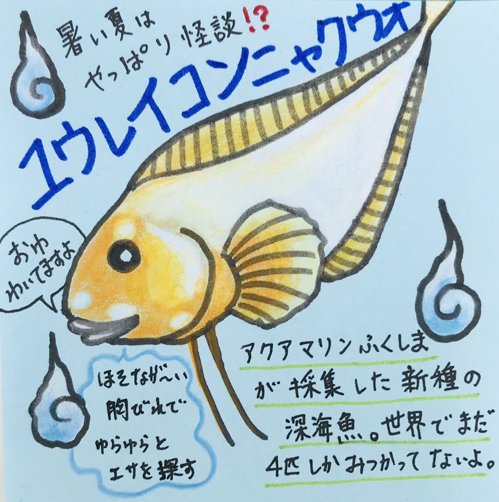 職員室の坂本さん 夏到来だぁ 夏といえば 怖い話 19年にアクアマリンふくしまが採取して新種登録された ユウレイコンニャクウオをご紹介 コンニャクウオってポヨポヨしてて可愛い子が多い 幽霊というよりお化けといった感じ イラスト 職員室の坂本さん 夏到来だぁ 夏といえば 怖い話 19年にアクアマリンふくしまが採取して新種登録された ユウレイコンニャクウオをご紹介 コンニャクウオってポヨポヨしてて可愛い子が多い 幽霊というよりお化けといった感じ イラスト