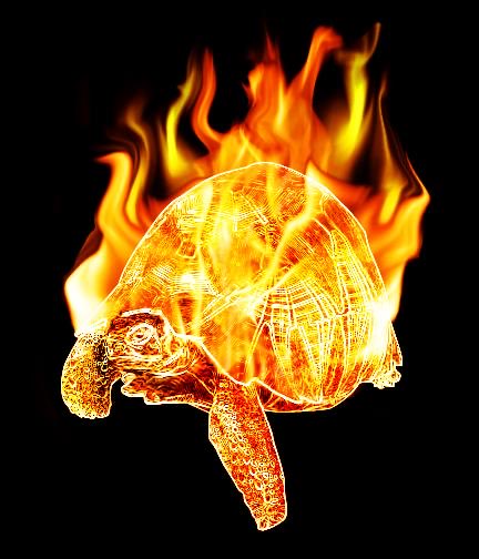 The Sliders Baseball Club tweet media