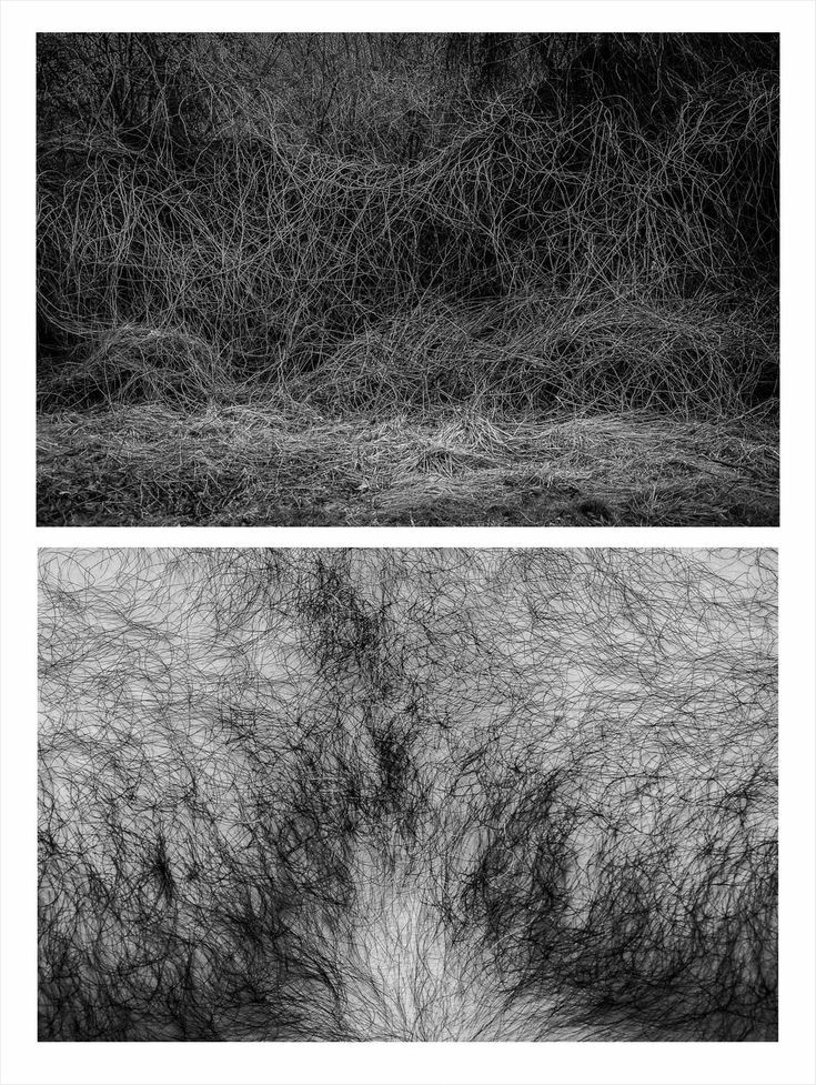 ➕Проект от польского фотографа Alisja Brodowicz 

➕"Сходство между человеческим телом и природой"