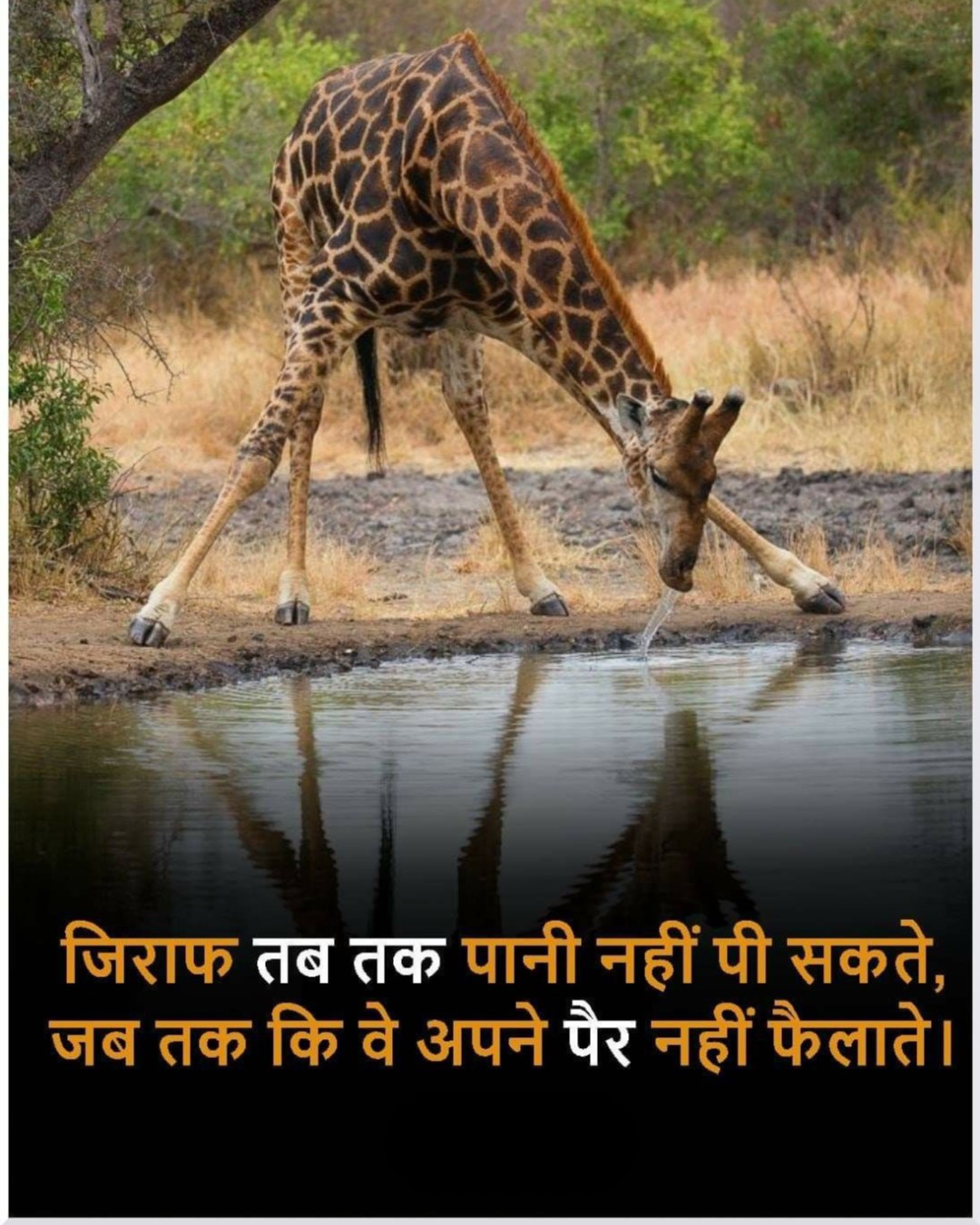 Keval Jaankari on Twitter: Keval Jaankari on Twitter: