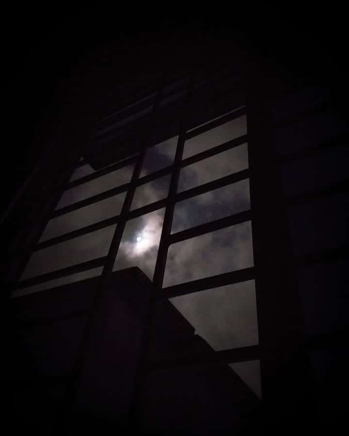 "There are nights when the wolves are silent and only the moon howls."
—George Carlin

 Photography _|♥