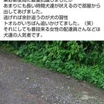 犬の放し飼いにより郵便屋さんが追いかけられる!ペットの正しい飼い方とは？!