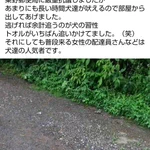 犬の放し飼いにより郵便屋さんが追いかけられる!ペットの正しい飼い方とは？!