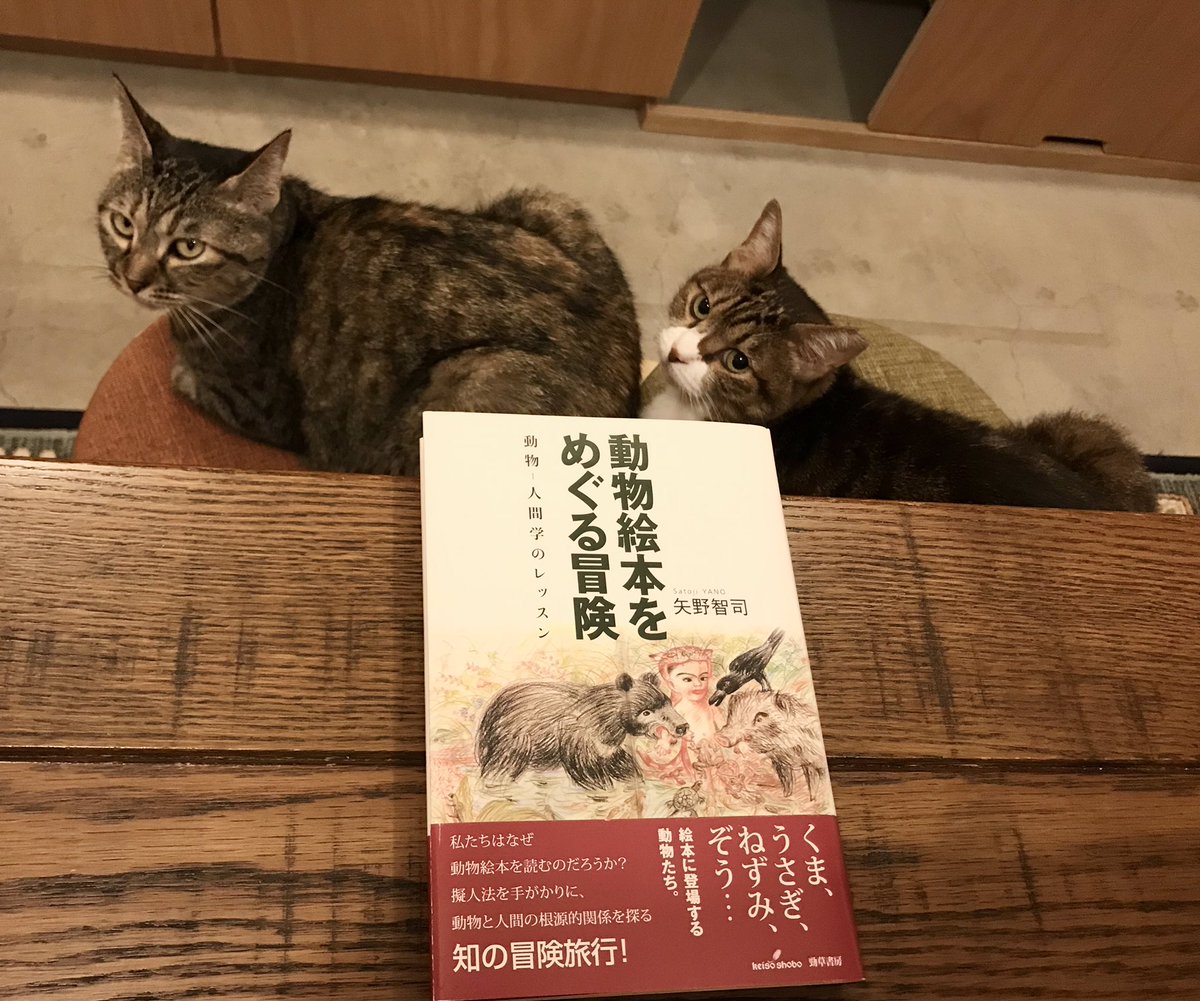 キャッツミャウブックス على تويتر 動物絵本をめぐる冒険 を読むと猫の出てくる絵本がたくさんある理由も分かります しんどい雨の季節が長引いていますが せめて店内は気分を明るく 14 00 19 30頃までお待ちしております 毎週水曜は 水曜日のネコ 50円引き キャッツミャウブックス على تويتر 動物絵本をめぐる冒険 を読むと猫の出てくる絵本がたくさんある理由も分かります しんどい雨の季節が長引いていますが せめて店内は気分を明るく 14 00 19 30頃までお待ちしております 毎週水曜は 水曜日のネコ 50円引き