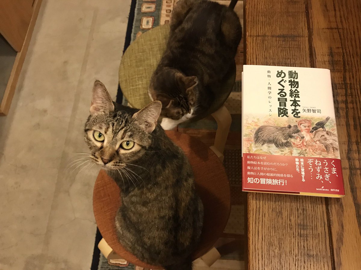 キャッツミャウブックス على تويتر 動物絵本をめぐる冒険 を読むと猫の出てくる絵本がたくさんある理由も分かります しんどい雨の季節が長引いていますが せめて店内は気分を明るく 14 00 19 30頃までお待ちしております 毎週水曜は 水曜日のネコ 50円引き キャッツミャウブックス على تويتر 動物絵本をめぐる冒険 を読むと猫の出てくる絵本がたくさんある理由も分かります しんどい雨の季節が長引いていますが せめて店内は気分を明るく 14 00 19 30頃までお待ちしております 毎週水曜は 水曜日のネコ 50円引き