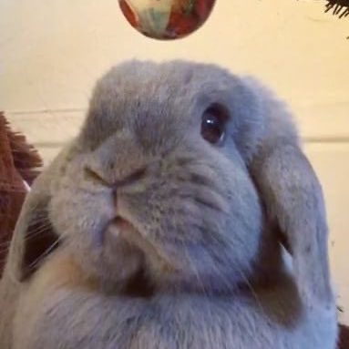 kthluuvs's tweet photo. i am devastated https://t.co/vOwY1pjhdl