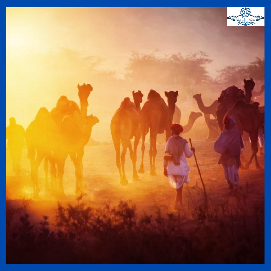 art_lalit's tweet photo. #Pushkar, a small temple town, is located around 15 km from Ajmer in #Rajasthan. Every November, Pushkar is host to the Pushkar Mela, one of the biggest camel fairs in the country
#pushkarfair #pushkarlake #pushkarmela #pushkarcamelfair #pushkarholi #pushkardiaries #lalitartmedia https://t.co/fhtYko495w
