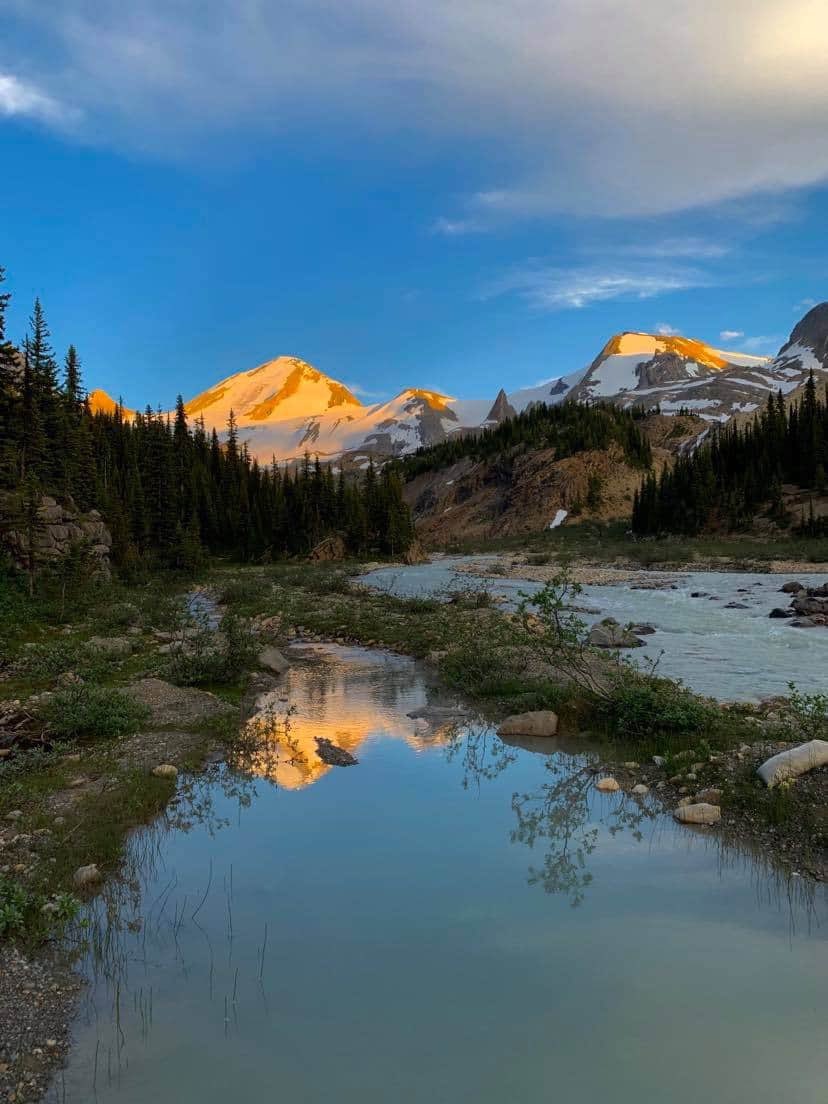 Have a great evening from all of us at Mistaya Lodge!