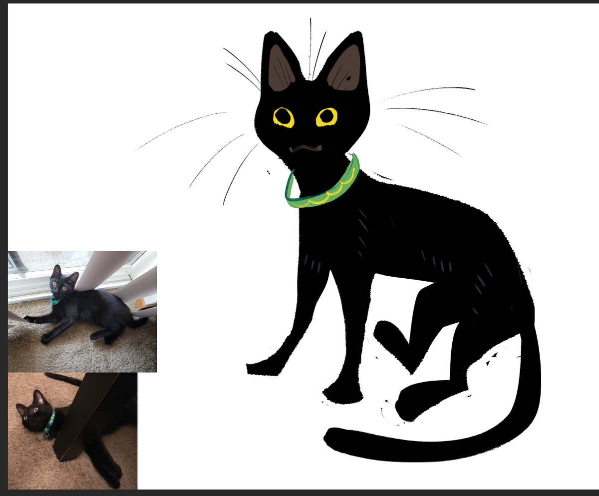 Walter is owned by  @8BitWhitt and is a freshly hatched Am Baby void at only 4 months!