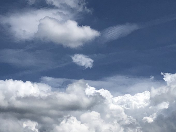 嵐カイトのtwitterイラスト検索結果