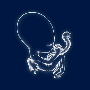 28. Sigur Rós - Ágætis byrjun (★★★★½)RYM: #46Swing: +18