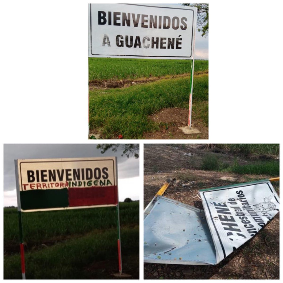 He sido testigo de cómo comunidades NASA atacan propiedades de sus hermanos Misak en Siberia Caldono Cauca, ahora comunidades negras son víctimas de este flagelo en Guachené, promoviendo incluso la creación de un conflicto, llamo al respeto por los territorios Afro en el Cauca.