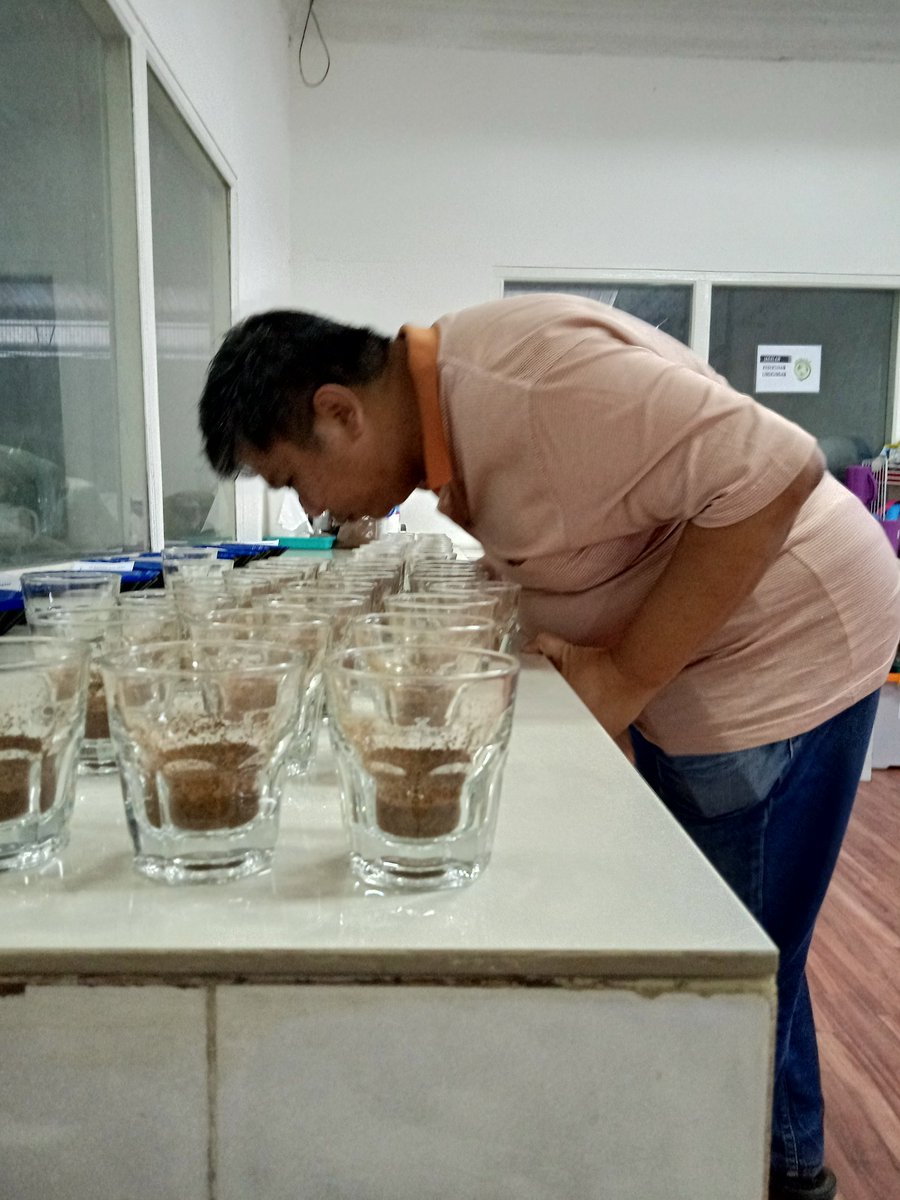 Mulai deh sesi cupping