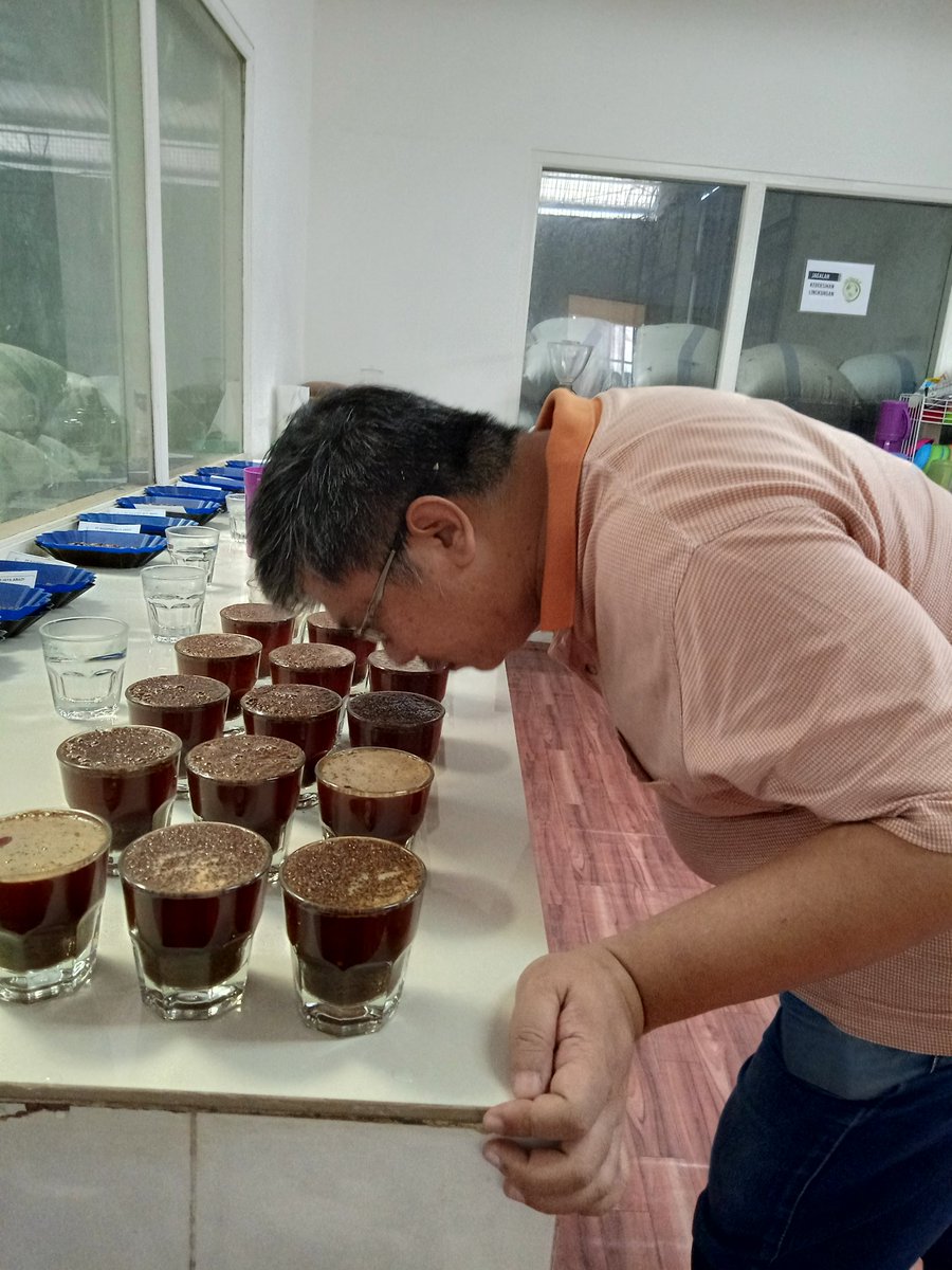 Mulai deh sesi cupping