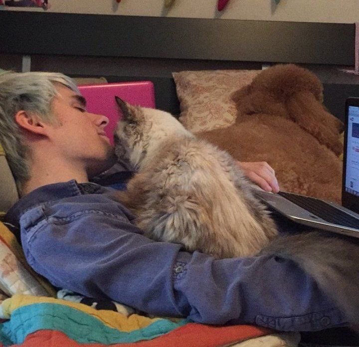 — awsten knight and my fav pics of him ; a thread.