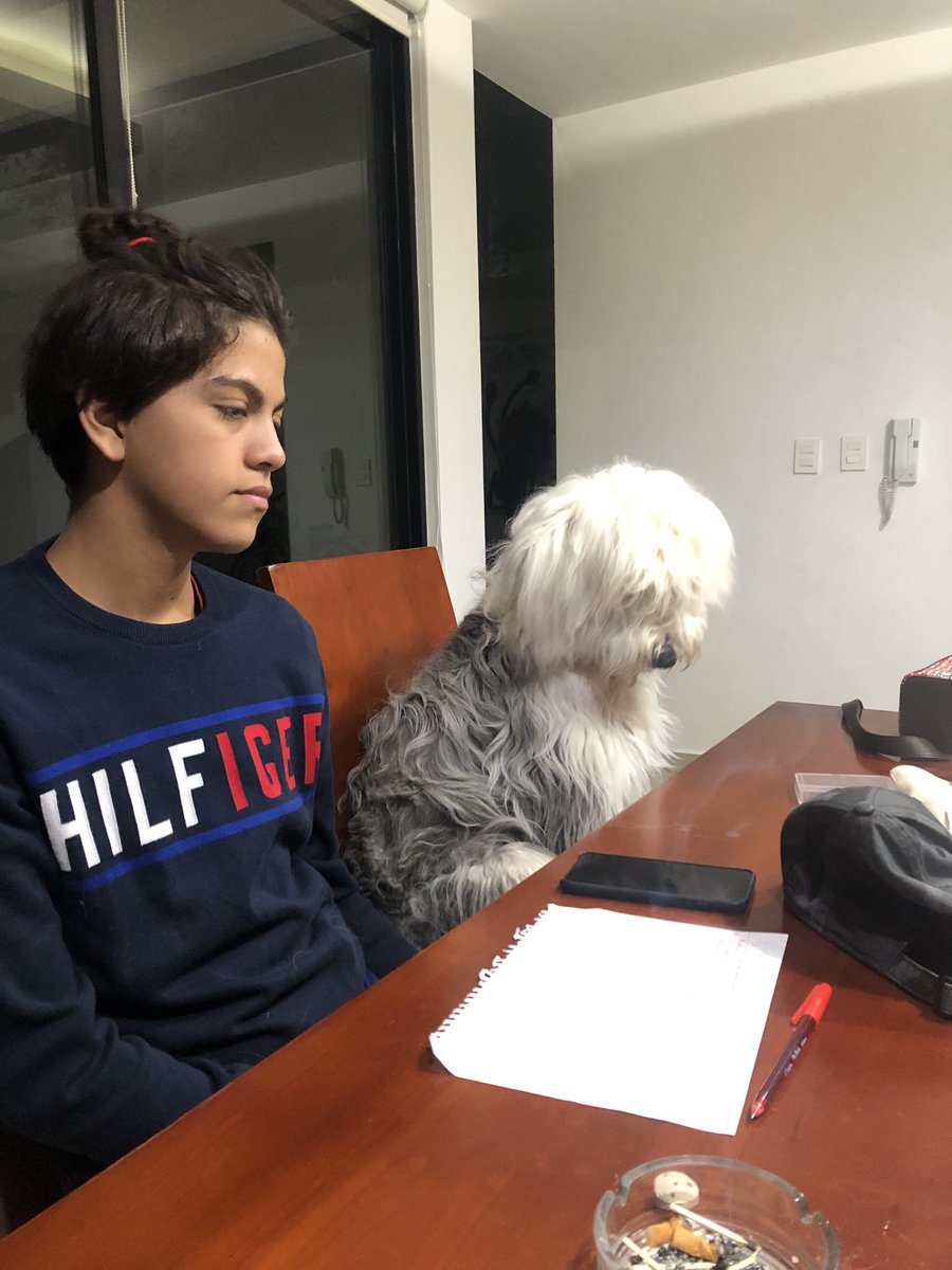Juliapasos's tweet photo. #Alaiadelincuente haciendo team con el hermano humano #renejr jugando basta https://t.co/31EWg6jO1n