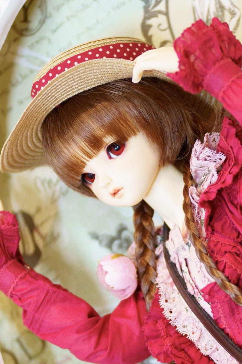 LoveSherylForEv's tweet photo. やっと週中だよ!!
折返し(`・ω・´)シャキーン
そろそろ梅雨明けも見えてくるしお写真撮りたいーー。
#a7riv #tamron #f016 #85mmf18 #sdgr_ルチア #うちのこかわいい https://t.co/KvaTbln9kz