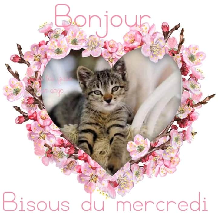 Laury Soulasvalerie Missprunette Rimiquen Dsm Klingerlydie Martinatacha31 Coralieartu Bonjour Bon Mercredi A Toutes Bisous T Co Oahs9mjb5u Twitter Laury Soulasvalerie Missprunette Rimiquen Dsm Klingerlydie Martinatacha31 Coralieartu Bonjour Bon Mercredi A Toutes Bisous T Co Oahs9mjb5u Twitter