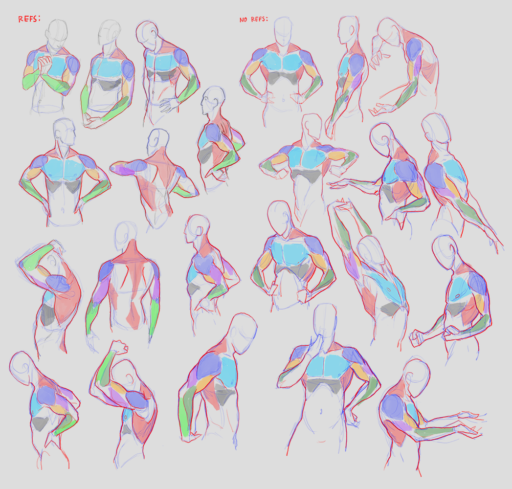 HighChaosKooks's tweet photo. doing a rerun through anatomy rn. https://t.co/slAwhvTMkN