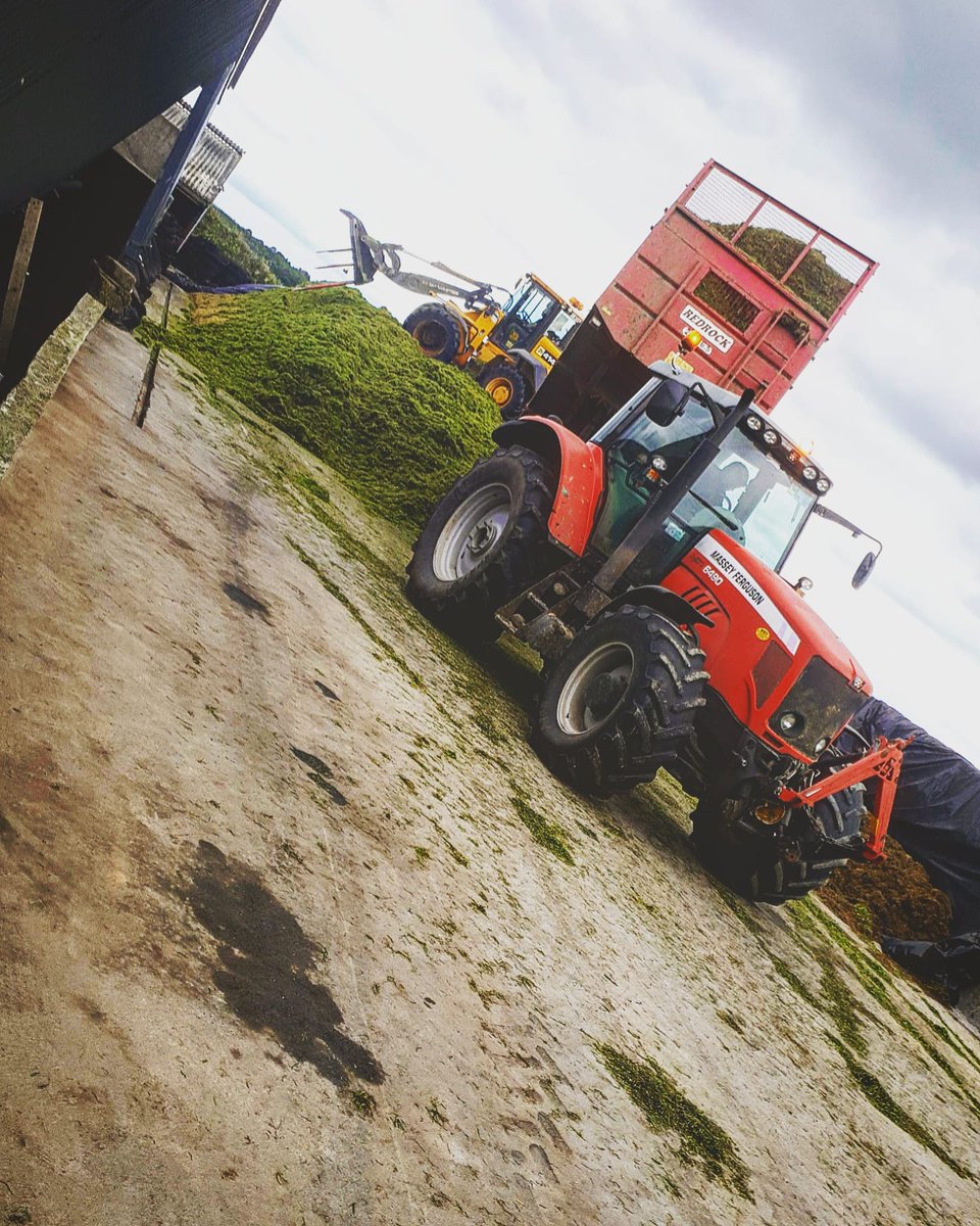 DiarmuidMurray1's tweet photo. Last of the second cut in, before it rains, again ☔☔ https://t.co/FQru7LlUWi
