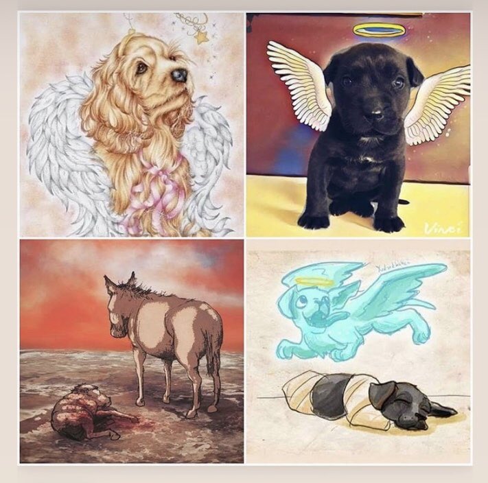 Günaydın herkese, sevgiler saygılar 🥰🍀🧿 bu güzelliklere yapılanları hiç bir zaman unutmayalım 🥵