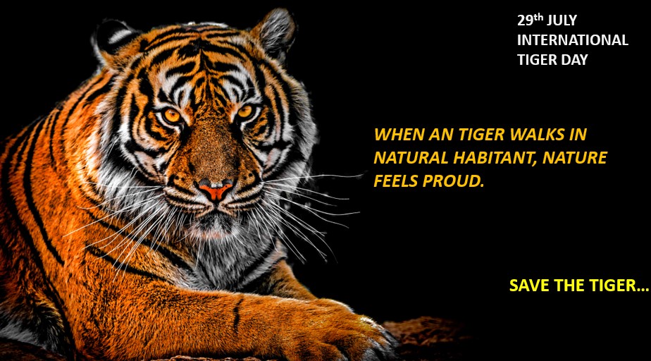 Impel75201058's tweet photo. Save these majestic creatures.
#tiger #wildlife #animals #nature #tigers #bigcats #tigerking #wild #bigcat https://t.co/y7ZXzrhY7z