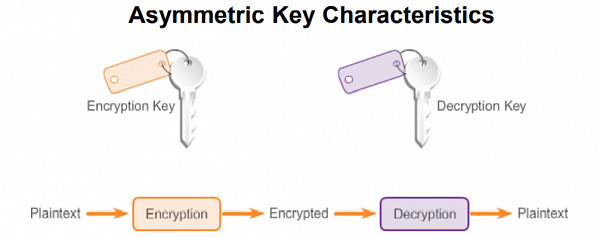 Websystemer's tweet image. Public key Algorithms in Cryptography. - websystemer.no/public-key-alg…

 #cryptography #cybersecurity #publickeycryptography #softwareengineering #technology
