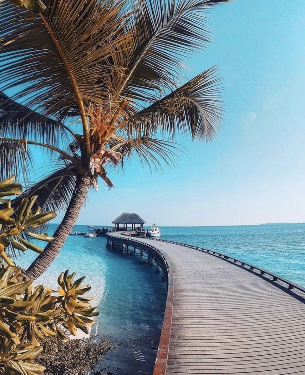 4 days till we greet you to the sunny side of life. ☀️ 
. . . 
#JourneyTogether #DusitThaniMV #seeyousoon #maldives