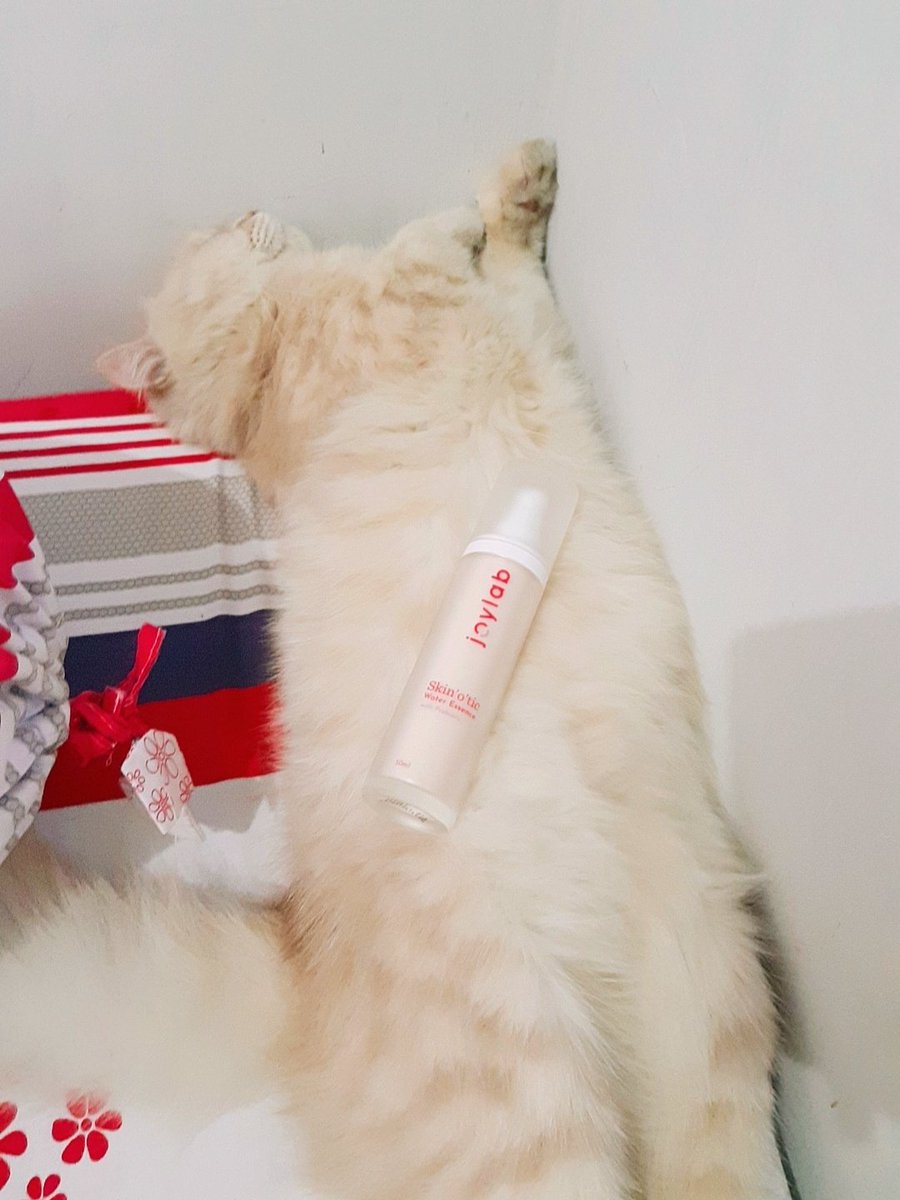 Temen: "eh km ngefoto skincare2 dimana sih? kok keliatannya lembut banget alas karpetnya"
Meanwhile......