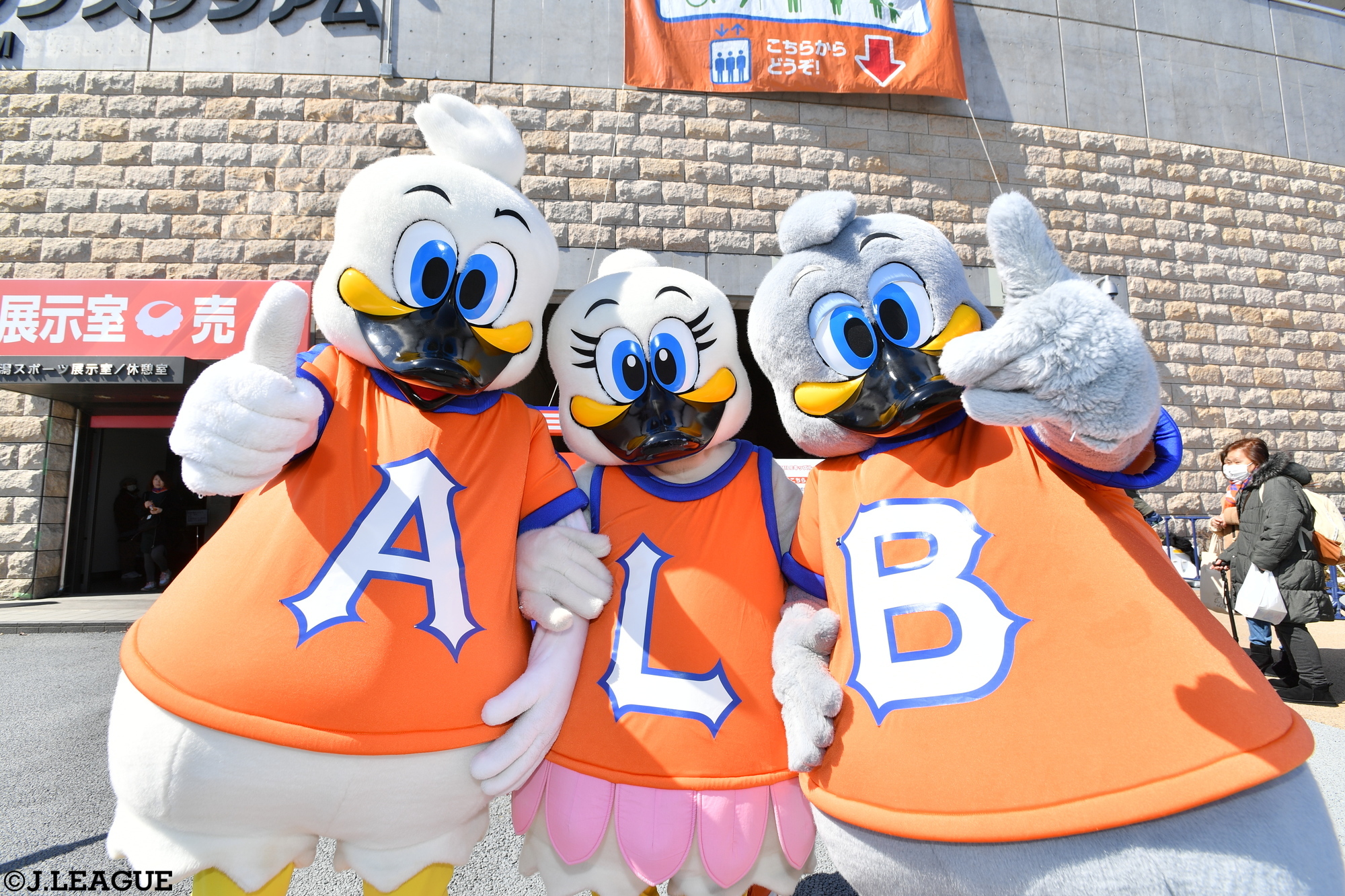アルビレックス新潟 アーくん ルーちゃん ビーくん ネックピロー アルビレックス新潟 ぬいぐるみキーホルダー（アーくん